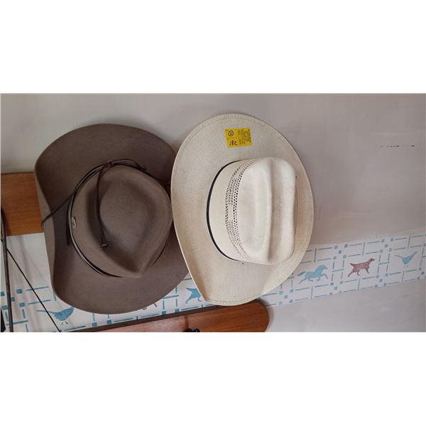 2 COWBOY HATS