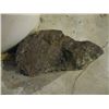 Image 2 : BUCKET OF HEAVY ROCKS