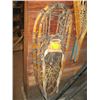 Image 1 : PAIR OF SNOWSHOES