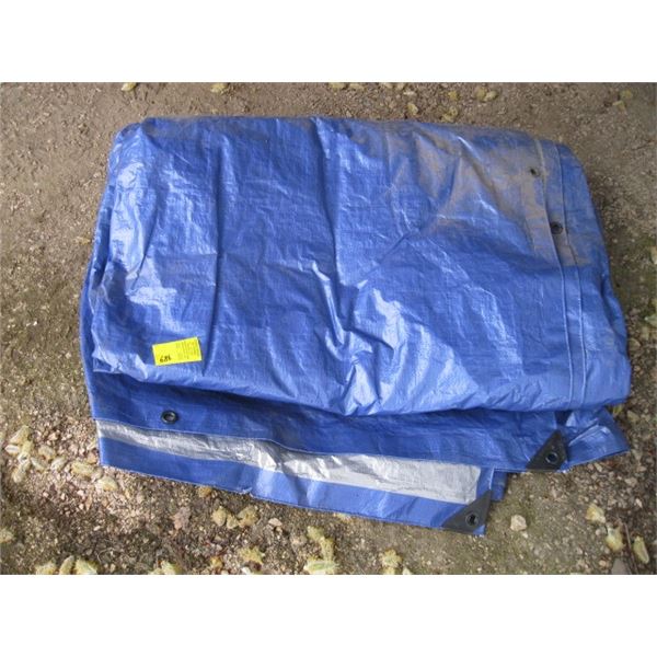 LG. BLUE TARP