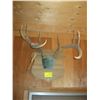 Image 1 : PAIR OF UNIQUE WHITE TAIL DEER HORNS