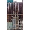 Image 1 : 10' ORCHARD LADDER