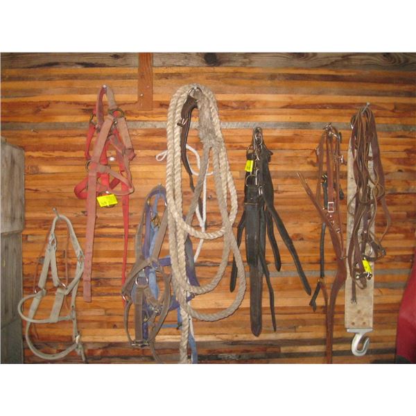 LG. LOT OF ASST. TACK: REINS & BRIDLES, LEAD SHANKS, HALTERS, ETC.