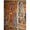 Image 3 : LG. LOT OF ASST. TACK: REINS & BRIDLES, LEAD SHANKS, HALTERS, ETC.