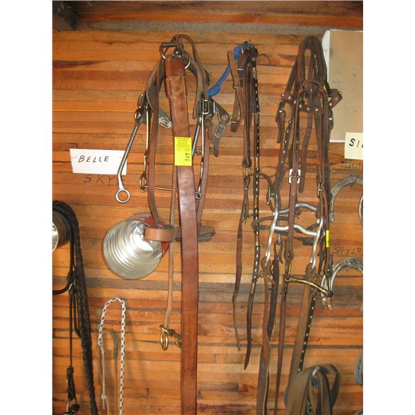 ASST. BITS, REINS, ETC.