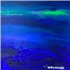 Image 2 : Untitled by Wyland Original