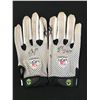 Image 1 : GERALD HAYES DUAL SIGNED GAME USED FOOTBALL GLOVES (PHOTO MATCHED CARDINALS COA)