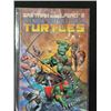 Image 1 : MIRAGE STUDIOS TEENAGE MUTANT NINJA TURTLES NO. 33