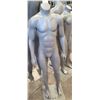 Image 1 : UNDER ARMOUR MANNEQUIN BY GRENEKER 57" WITH BASE