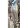 Image 3 : UNDER ARMOUR MANNEQUIN BY GRENEKER 52" WITH BASE