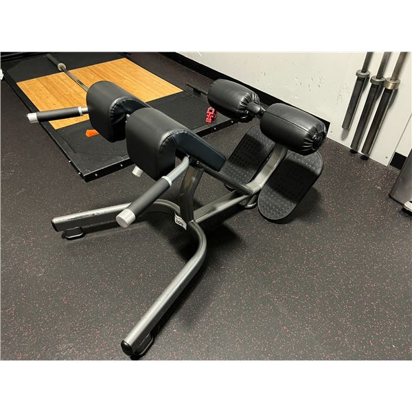 MATRIX BACK EXERCISE MACHINE