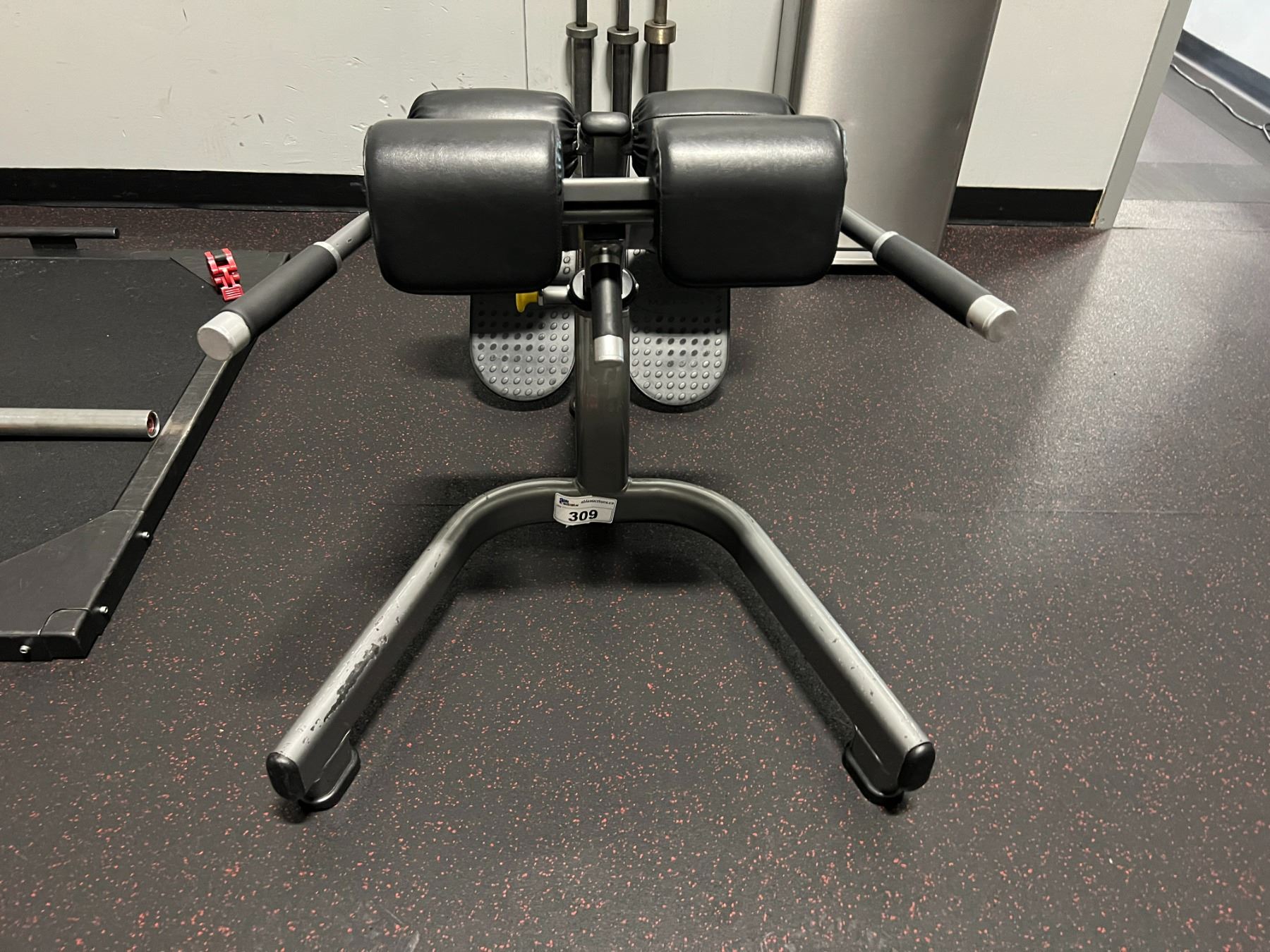 MATRIX BACK EXERCISE MACHINE