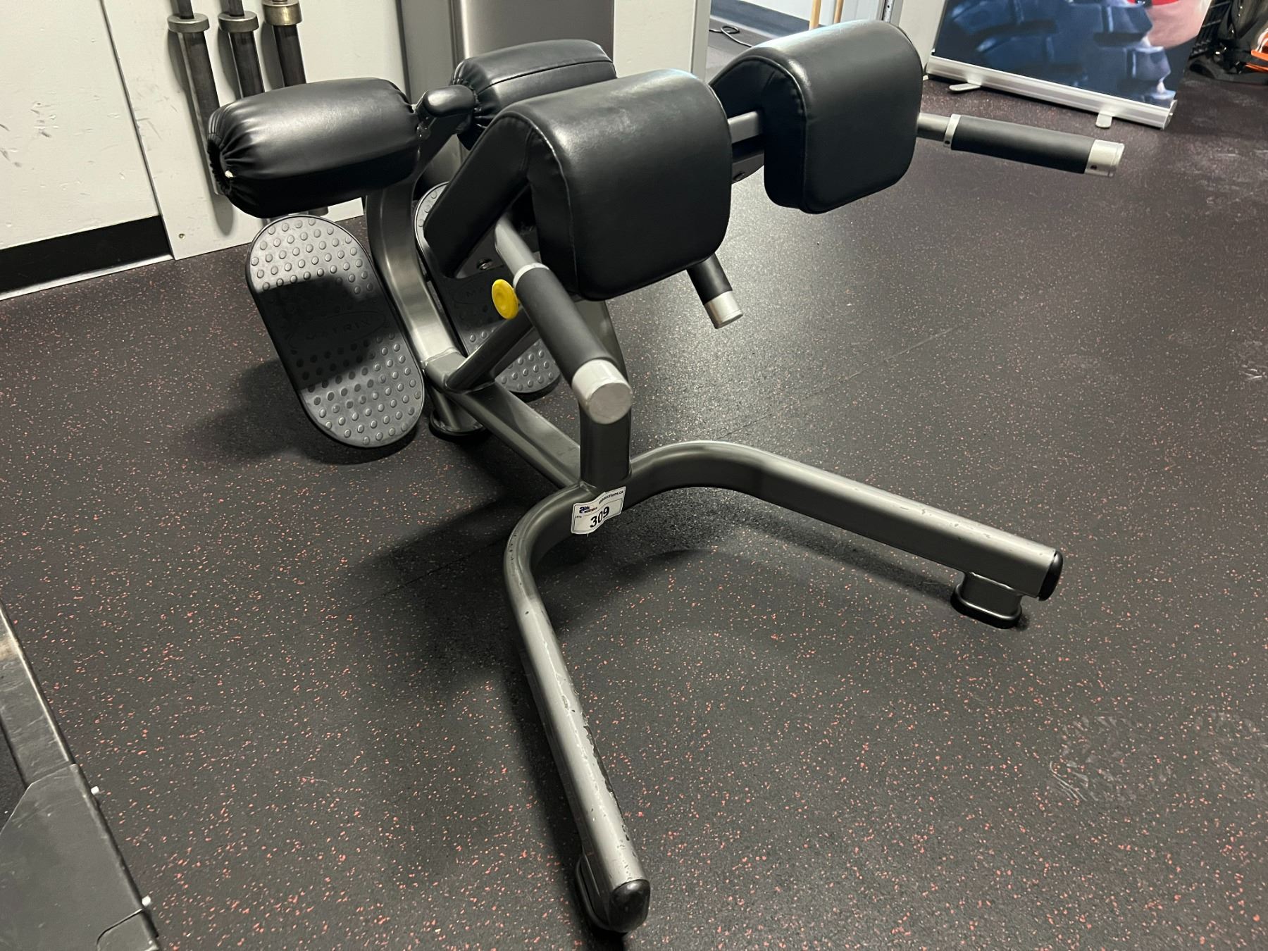 MATRIX BACK EXERCISE MACHINE
