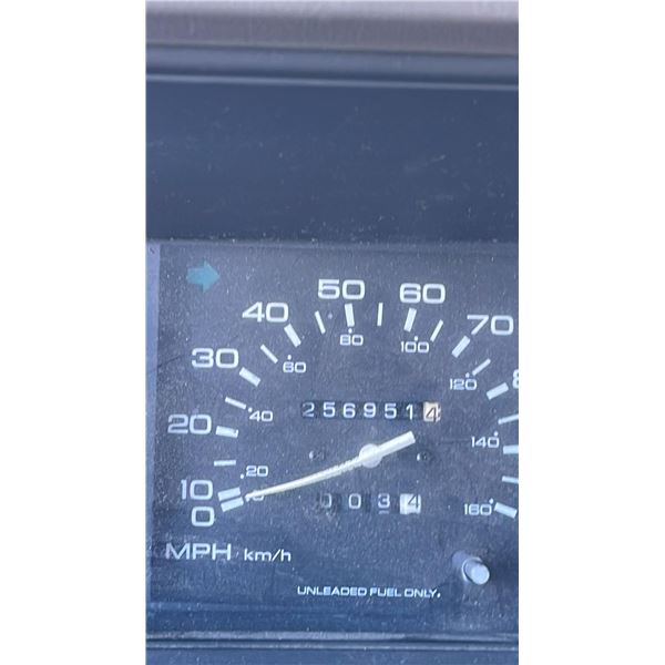 ハト 13DE MARZO Bear Colorful Dots Zip Hoodie