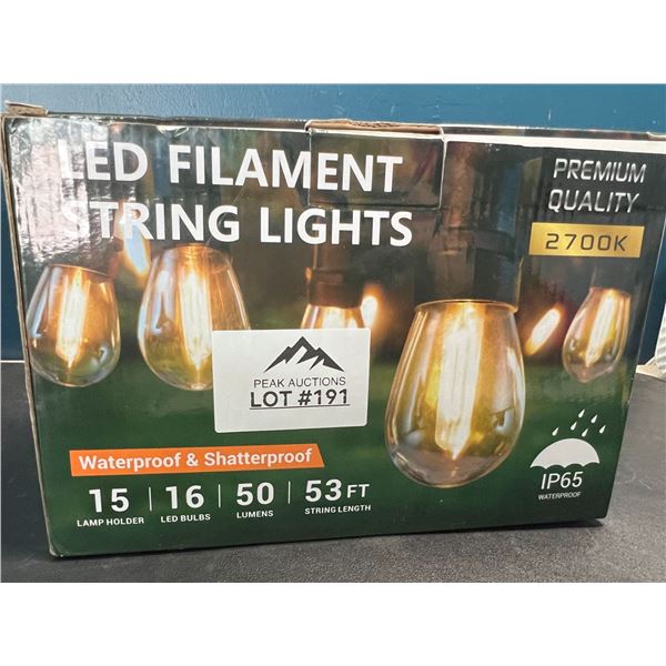 Lot of 1 LED Outdoor String Lights (Edison Style Bulbs) - 53FT Length
