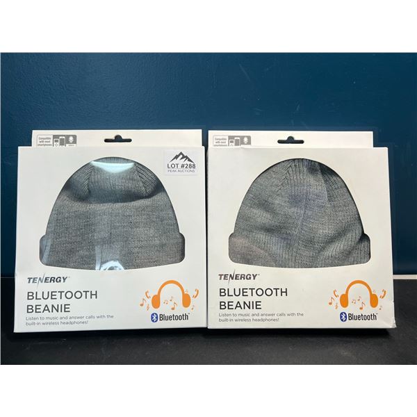 Lot of 2 Bluetooth Beanies/Toques