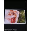 Image 1 : The Dead Girl Krista (Brittany Murphy) Crime Scene Photo Movie Props