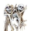 Image 2 : Hell Fest Skeleton Bones Movie Props