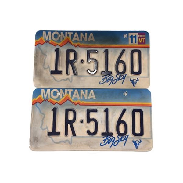 Father Stu (Mark Wahlberg) License Plates Movie Props