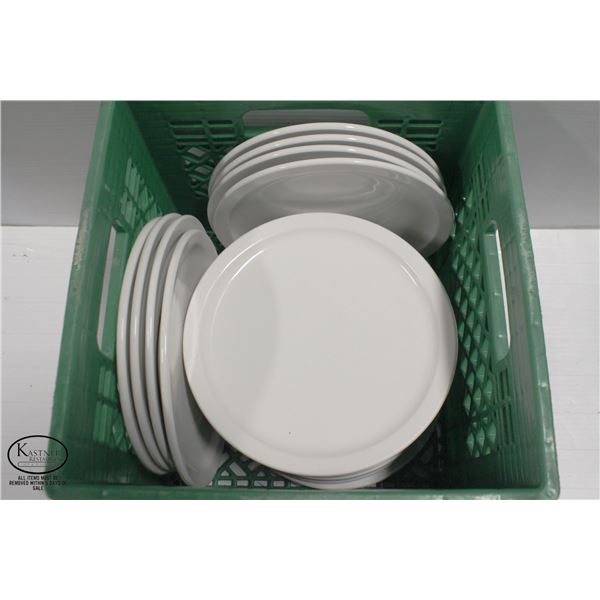 CRATE OF 22 PORCELAIN 9.5" DINNER PLATES