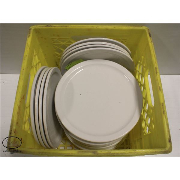 CRATE OF 24 PORCELAIN 9.5" DINNER PLATES