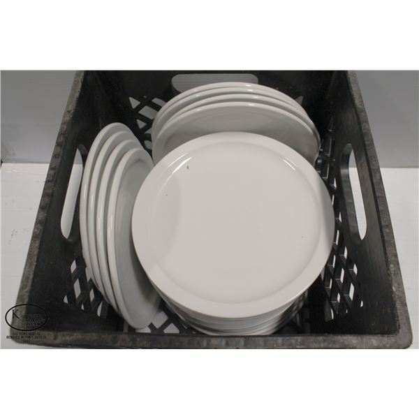 CRATE OF 24 PORCELAIN 9.5" DINNER PLATES