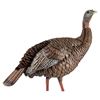 Image 1 : AVIAN-X HDR HEN TKY DECOY