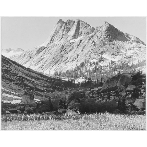 Adams - Boaring River, Kings River Canyon