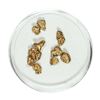 Image 1 : Gold Nuggets 2.79 Grams Total Weight