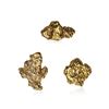 Image 1 : Lot of Gold Nuggets 2.92 Grams Total Weight