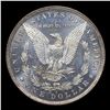 Image 3 : ***Auction Highlight*** 1881-o Morgan Dollar NEar TOP POP! $1 Graded ms65 dmpl By SEGS