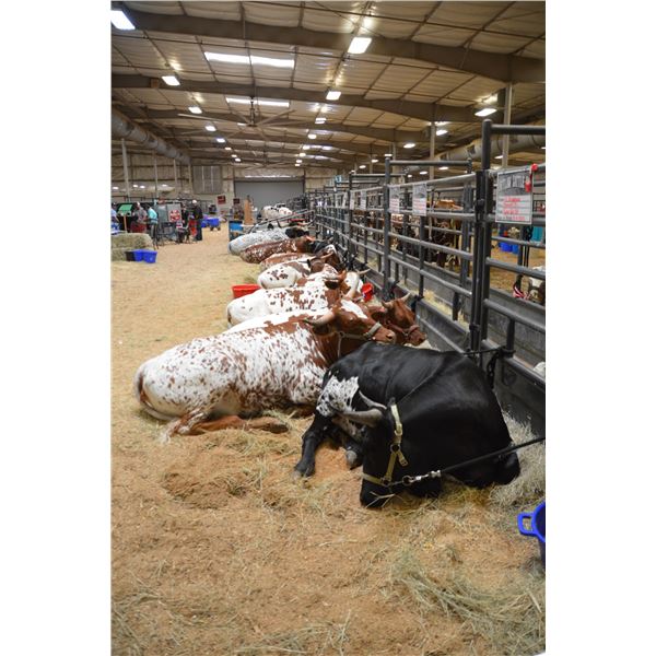 2023 World Show – Pick Your Stalling Spac