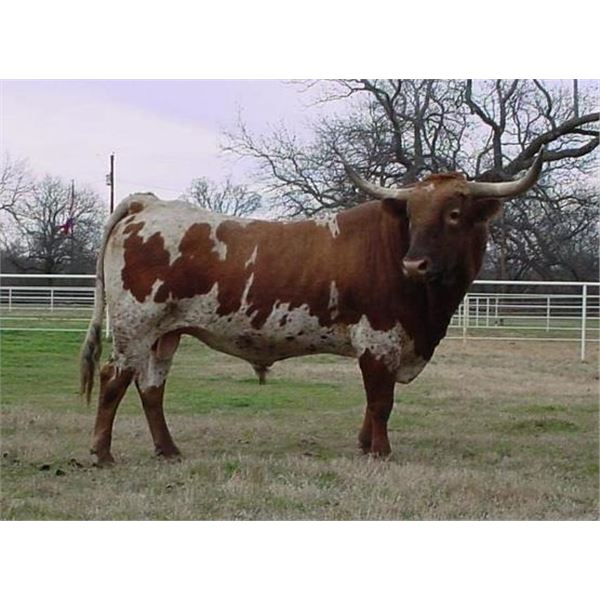 Semen Package – OL Outplay & NP Redeemers Redemption