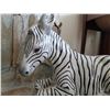 Image 2 : Zebra Decor A