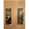 Image 1 : 2 x Monochromatic Canvas Prints