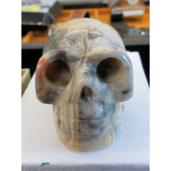 487 CT Crazy Lace Agate 3D Skull - Hand Carved