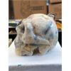 Image 2 : 487 CT Crazy Lace Agate 3D Skull - Hand Carved