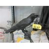 Image 1 : New Black Crow LED Lamp - 10" x 8" tall