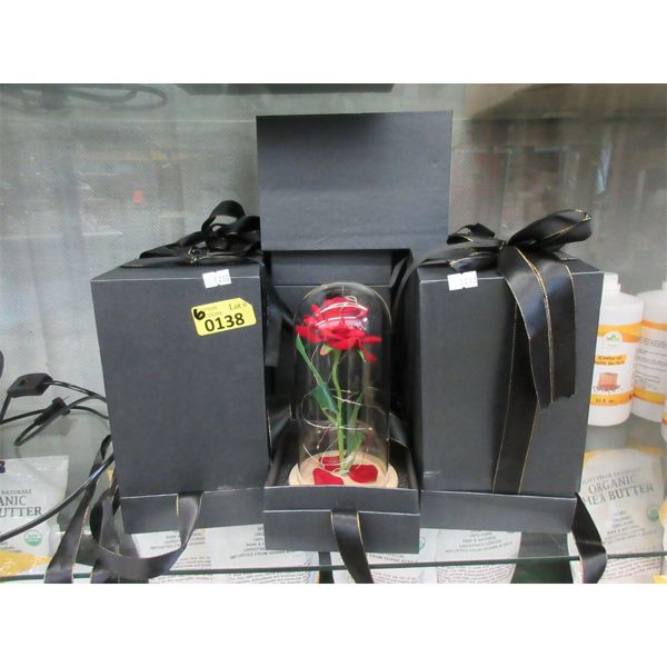 6 New Gift Roses in Domes with Mini LEDs  