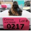 Image 1 : 105 CT Tigers Eye Buddha - Hand Carved