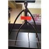Image 1 : Decorative Figure Stand 15"H