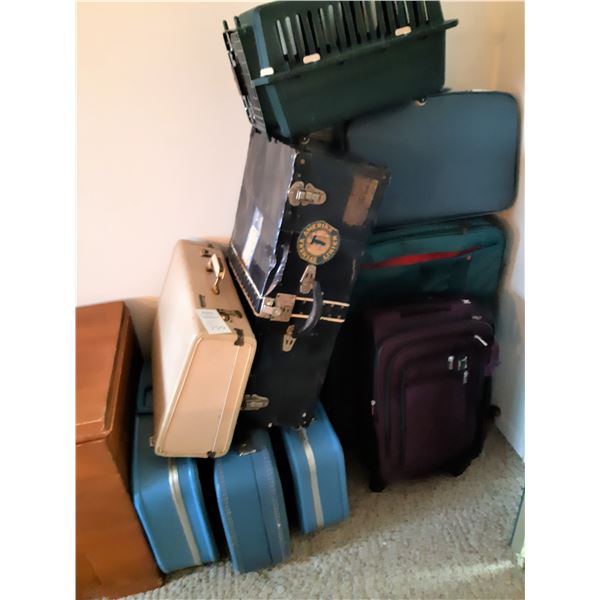 Vintage Suitcases, Pet Carrier A