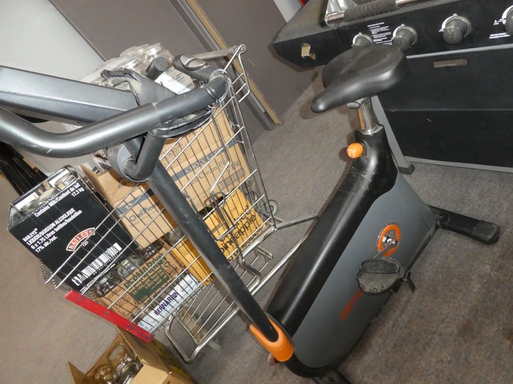 afg 7.3 aic spin bike