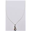 Image 2 : Zuni Sterling Inlay Cardinal Pendant Necklace