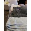 Image 2 : TOTE OF TOWELS AND BLANKETS