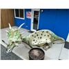 Image 1 : 13' LONG X 5' WIDE X 58" HIGH TRICERATOPS DINOSAUR BENCH.  FIBERGLASS