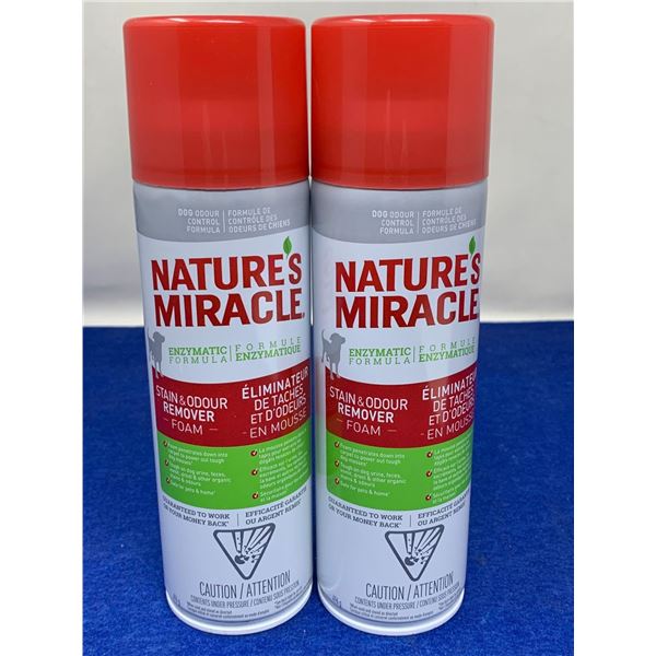 Nature's Miracle Stain & Odour Remover Foam (2 x 496g)