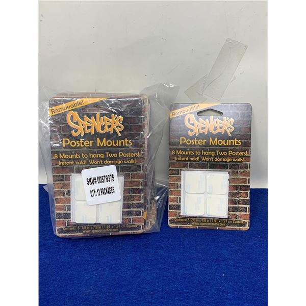 Poster Mounts (2 x 8)