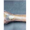 Image 4 : Beef Foreshank Bone