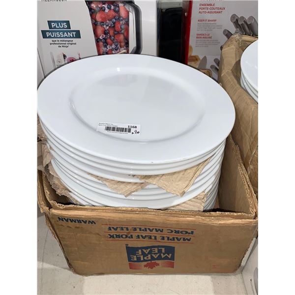 Lot of 16 Large Dinner Plates